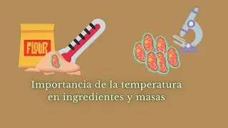 Importancia de la temperatura en ingredientes y masas