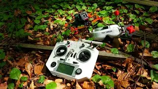 Spring is Here | FPV FREESTYLE
