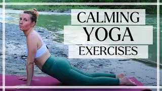 15 Min Full Body Yoga For Stress & Anxiety | Gentle Compassionate Yoga