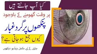 Why Does Dust Collect On the Fan Wings Even Though They Rotate All The Time? @Rajput TV