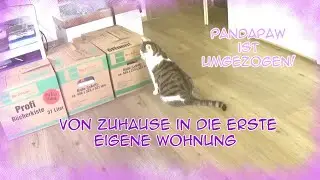 Ich bin umgezogen 🥲🥰