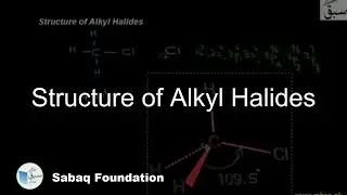 Structure of Alkyl Halides, Chemistry Lecture | Sabaq.pk