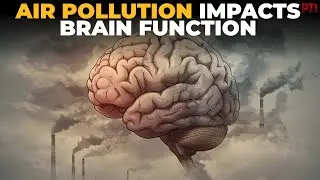 Explained: How air pollution harms brainpower and focus, study reveals