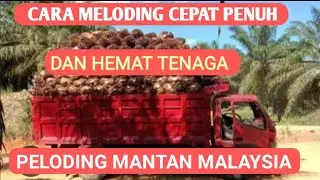 Cara meloding sawit di truck dengan cepat!! biar cepat penuh