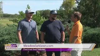 Beyond The Backyard - Meadowlark Landscaping and Design Prep for Fall