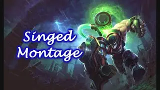 Leo Chem - Singed montage #1