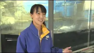 マリンワールド海の中道　25年間の記憶
