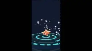POKEMON GO MAGIKARP EVOLVES INTO GYARADOS (MAGIKARP) TRANSFORMATION