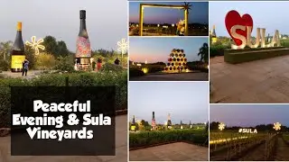 Sula Vineyards Nashik | The Wine Capital of India | Wine Land