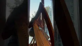 Crested Hens (Les Poules Huppees) by Gilles Chabenat played on Camac Janet #harp #celticharp