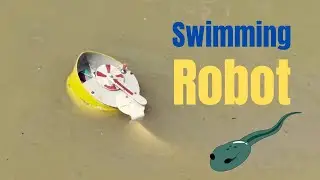 DIY Tadpole Robot Science Project &ndash; Creative Handmade Aquatic Life Experiment!