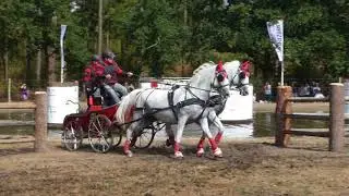 HEIBING Lars, DEN, CAI3# H2, Beekbergen, Marathon Ob4, 11 08 2018