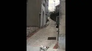 Filignano / Collemacchia