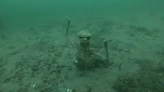 Shanty Bay