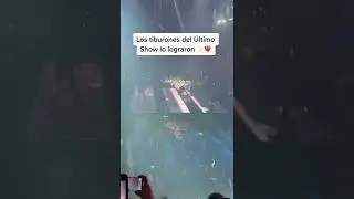 Bad Bunny Bailo Con los tiburones en su &uacute;ltimo concierto de la gira (EUTDM) 🔥🐰