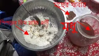 rohu| katla| carp |mrigel |tilapia| kalivaush |fish bait|how to make