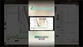 Z Pro Indicator:  Master Trading With This Cool Trick!