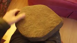 Stone age rock art; Adult Wood Turtle