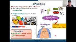 Compflu 2021 | Poster presentation | Rinsha Padmarajan P. V. | Polyelectrolytes