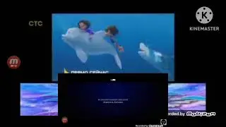 Анонс мальчик дельфин 2 в титрах призрак стс 11.01.2026