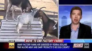 END FACTORY FARMING