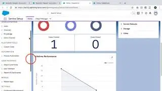 Service Setup Menu in Salesforce