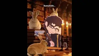 my bunwees my babies.. ☹️☹️☹️☹️{#gacha#xellarey#edit#trend#fyp#shortsfeed#ILOVEBUNNIES#BUNNIES}
