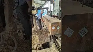 Square Timber Making  Precision Log Sawing