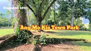 Ang Mo Kio Town Park #walking 