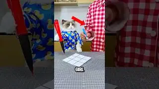 his Cat Outsmarted His Owner in Tic-Tac-Toe! 🐱😍 ( @ThatLittlePuff )