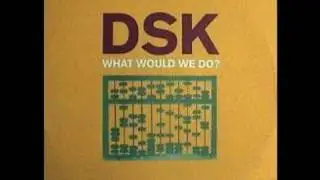 DSK - What Would We Do
