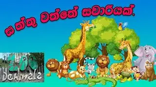 දෙහිවල සත්තු වත්තේ සුන්දරත්වය dehiwala saththu waththa   #beautiful #sinhala #travel  #animals