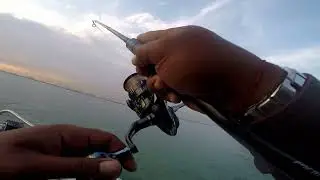 Shimano Vanquish 2019 screaming reel #shimano #Vanquish #2019
