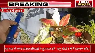 नए साल में सेहत और सुकून:  किचन गार्डनिंग करें, स्वस्थ रहें!
