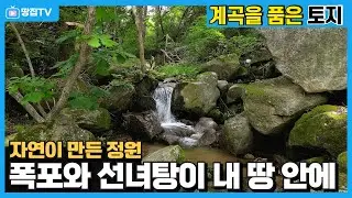 이런 땅 또 없습니다! 태기산 맑은 물이 흘러 폭포와 선녀탕을 이루는 평창 계곡 토지