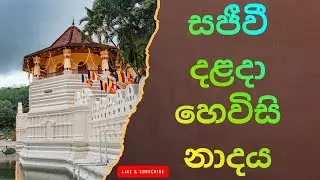 හෙවිසි නාදය: සිත් සන්සුන් කරන පූජනීය නාදය Kandy Hewisi Performance &ndash; Dalada Maligawa Highlight