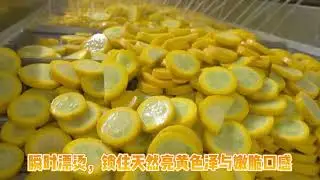 Yellow Zucchini processing#frozen food#frozen vegetable#frozen zucchini
