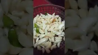 Garlic Paste Made