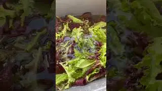 Greens bubbler and drying rack