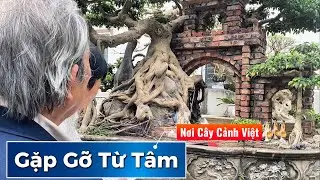 Cây Cảnh Việt, Nơi Gặp Gỡ Từ Tâm.