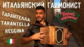 Играй, гармонь! | Джузеппе Чулло (г. Стио) | Giuseppe Ciullo | La Viddanedda Tarantella