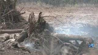NC officials remind people not to burn trash