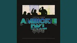 Ambicije
