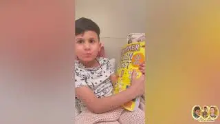 قصة الذئب والخنازير