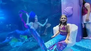 Mermaids of  Arabia by Baggu and Acha