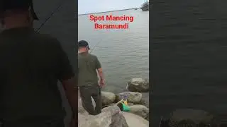 Lokasi mancing BARAMUNDI Monster#mancing #strek #lamgaweefishing #shorts