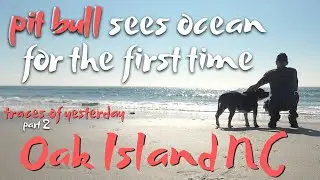 7yo Pit Bull Sees Ocean For The First Time🥹 Oak Island NC