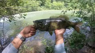 PESCA en rio, de AGUAS RAPIDAS, en las MONTA&Ntilde;AS de Virginia, EE.UU