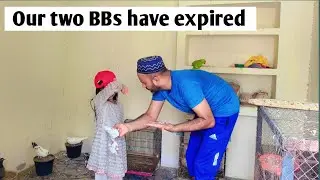 Our two BBs have expired || Zam pet volg