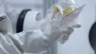 Keep your final product under control | Sterisart®